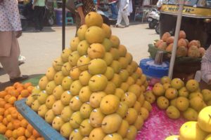 Mango mania over India’s most revered fruit