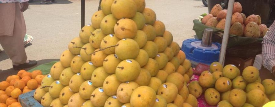 Mango mania over India’s most revered fruit