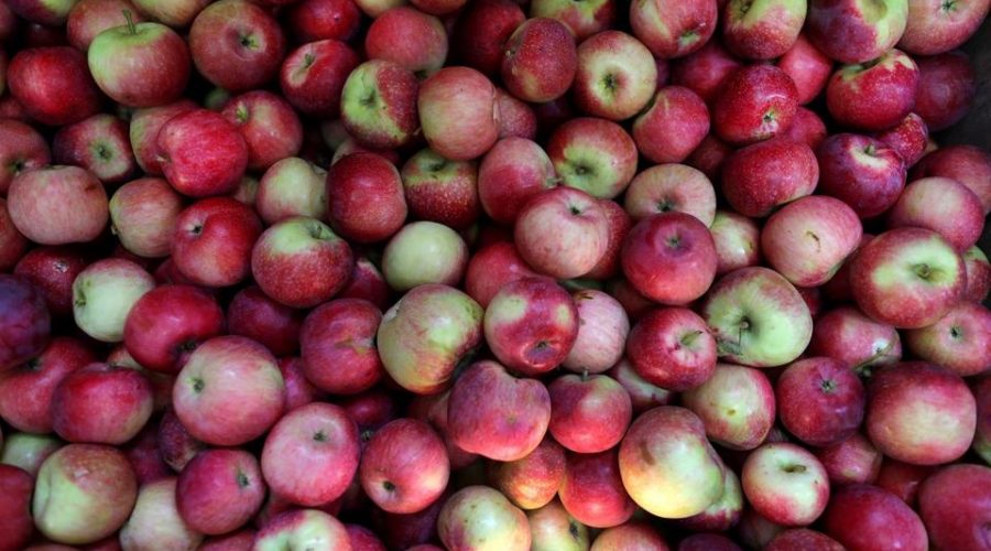 Apples Taste Right At Home In Indian Cooking