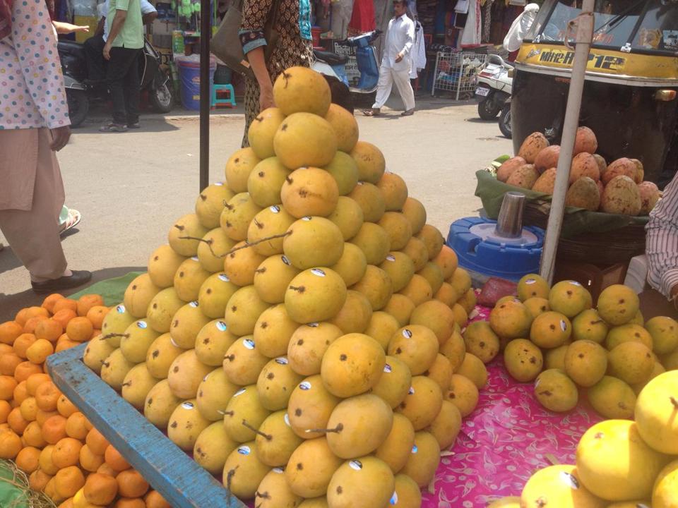 Mango mania over India’s most revered fruit