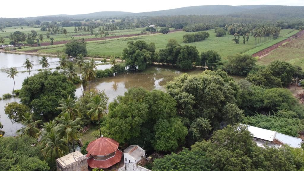 When the Krishna River rises